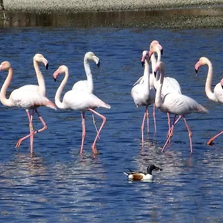 Gæstehus Cerro E Mar