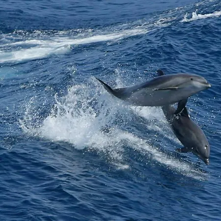 Cerro E Mar Konukevi *