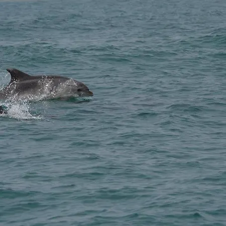 Cerro E Mar * Moncarapacho
