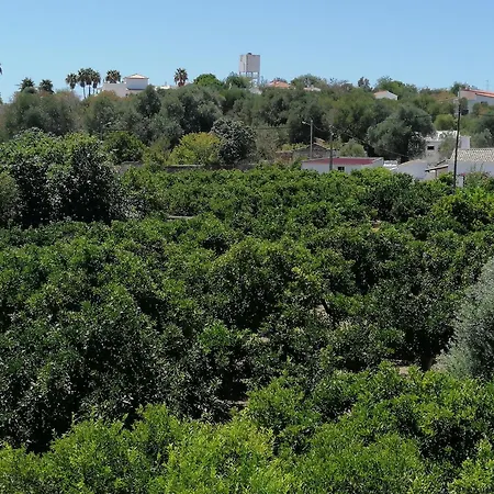 Cerro E Mar * Moncarapacho